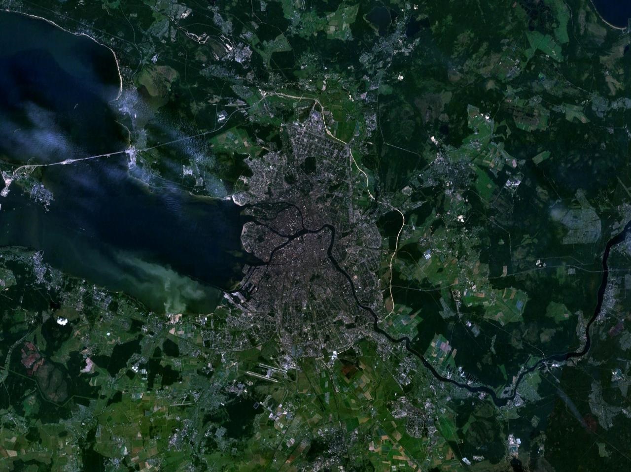 Кадастровая карта Ленинградской области с официального сайта Росреестра